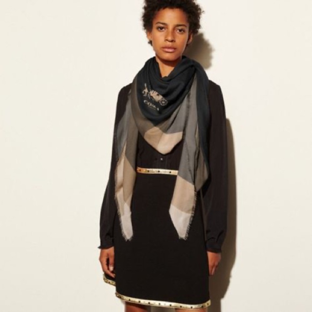 New Coach Windowpane Challis Scarf